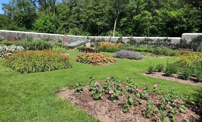 Flowerbeds in the walled garden at Scolton Manor